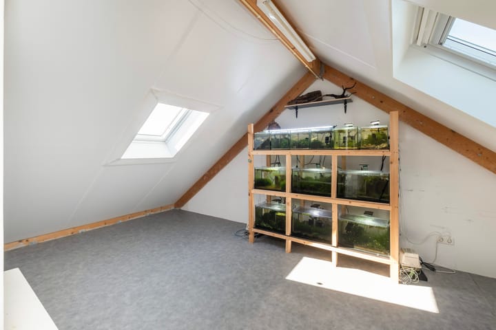 Foto 24 van Hemsink 20