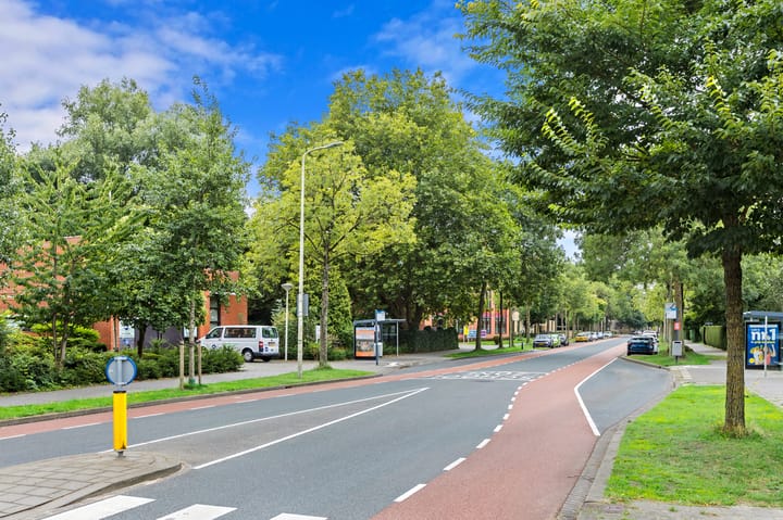 Photo 37 of Saffierhorst 254