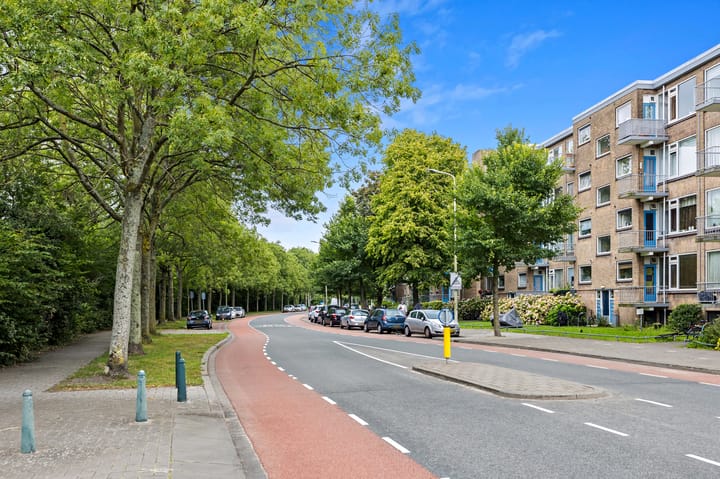 Photo 40 of Saffierhorst 254