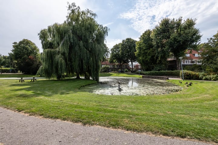 Foto 44 van Prins Hendriklaan 109