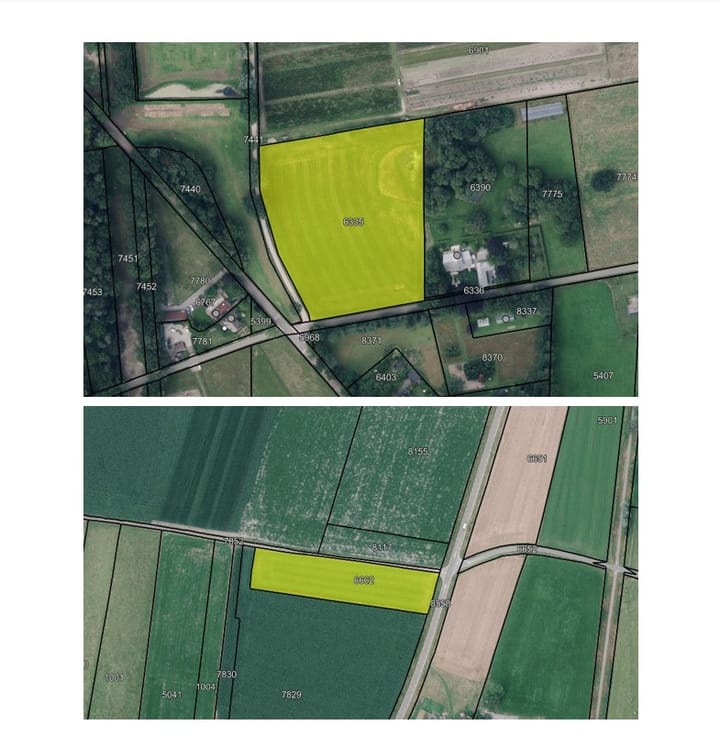 Greutelseweg / Marleweg, Wenum Wiesel