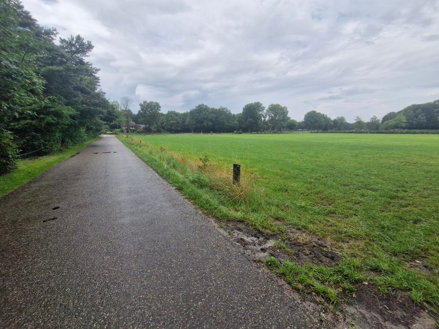 Bekijk foto 4 van Greutelseweg / Marleweg