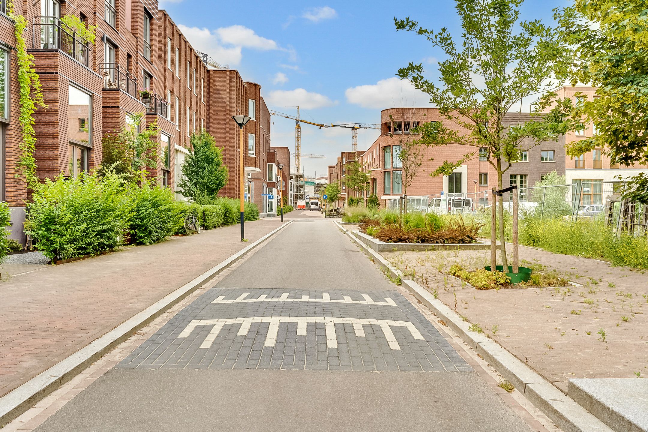Photo 42 of Belgradostraat 53