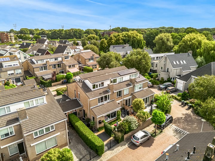 Foto 37 van Schapenweide 13