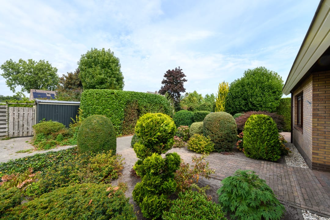 Foto 46 van Aukebaes 6