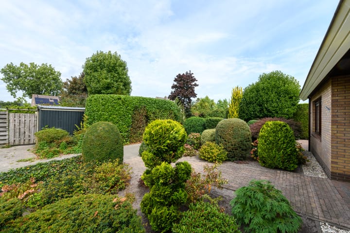 Foto 46 van Aukebaes 6