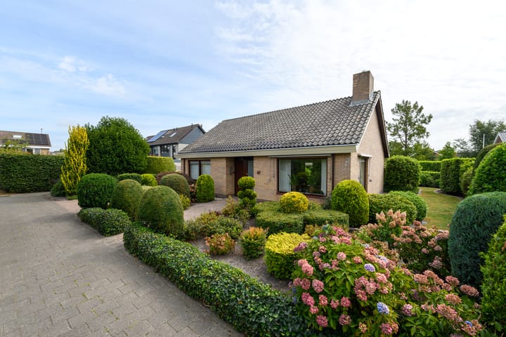 Foto 48 van Aukebaes 6