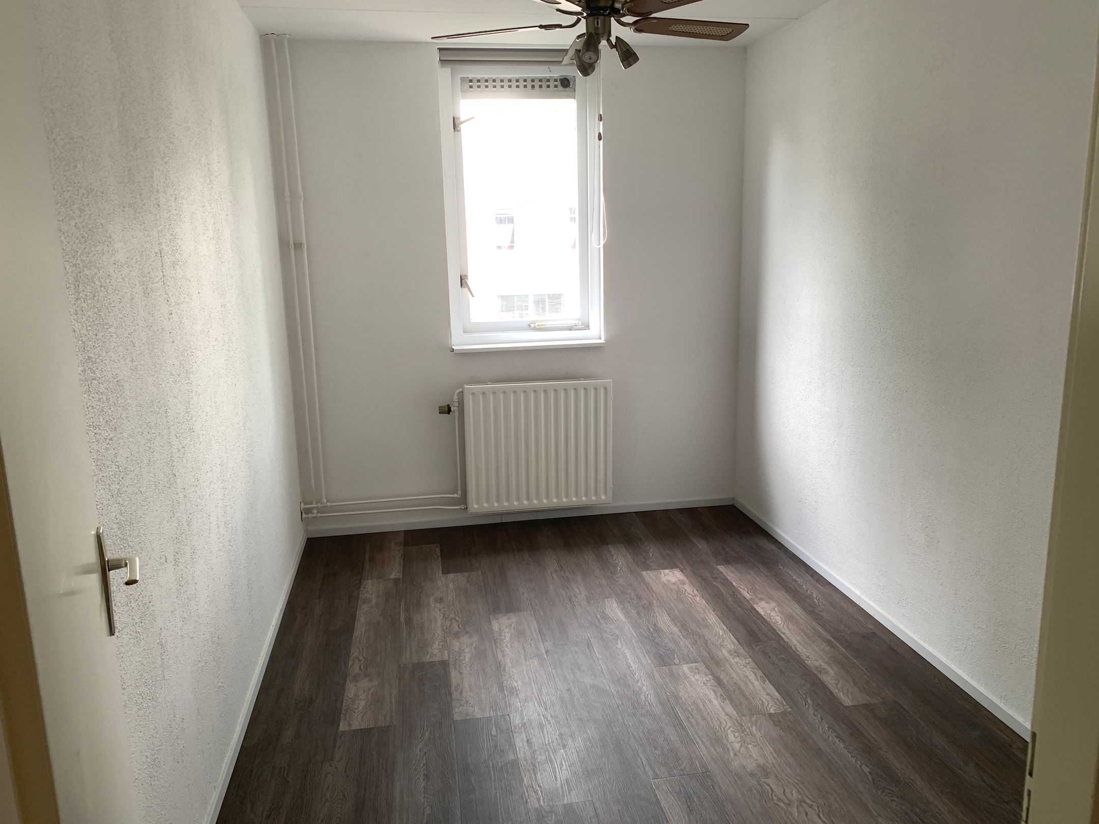 Foto 12 van Rotskruiper 25