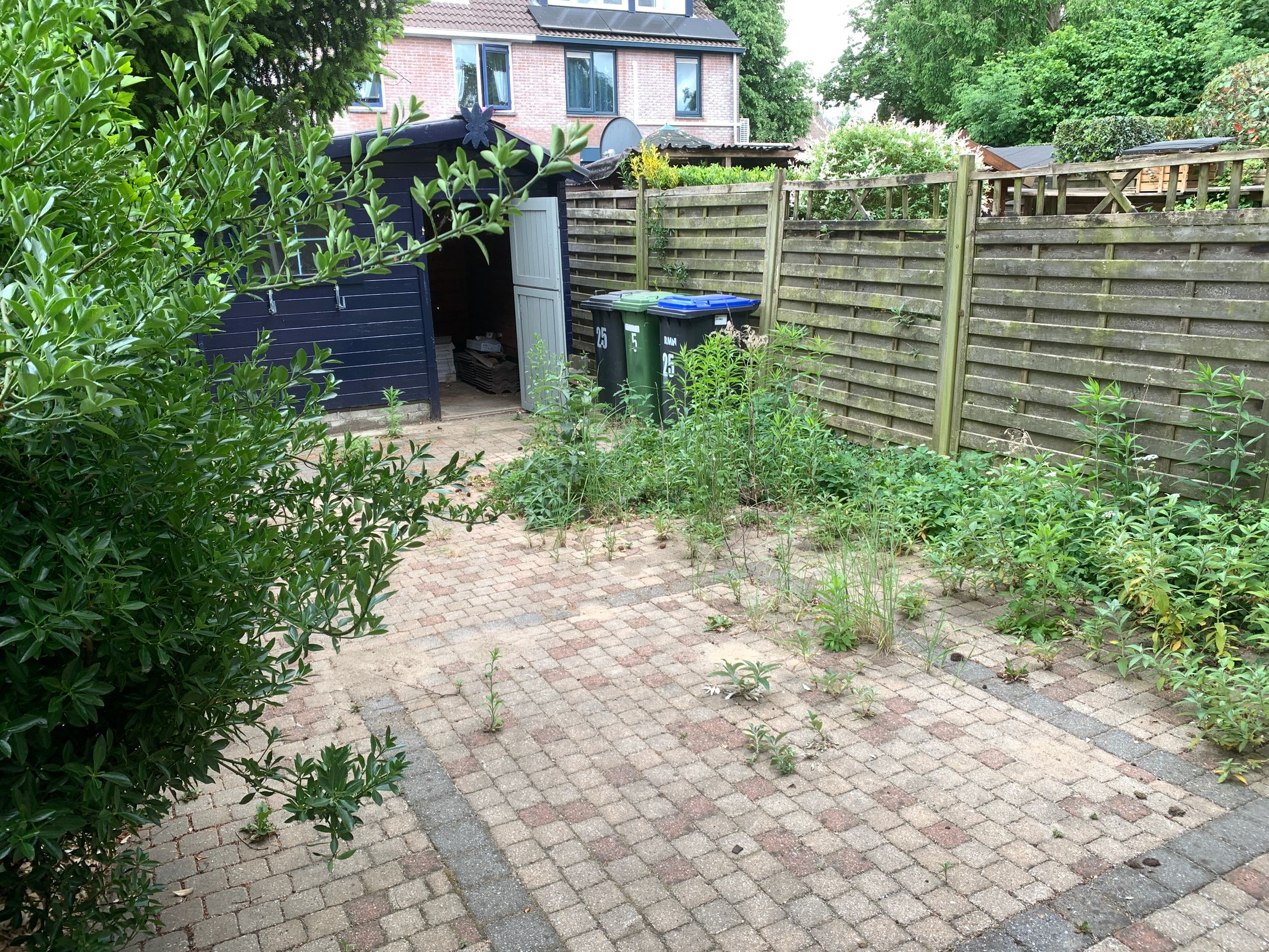 Foto 18 van Rotskruiper 25