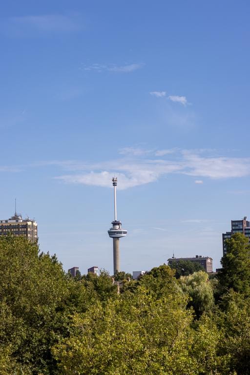 Photo 43 of Heemraadssingel 259