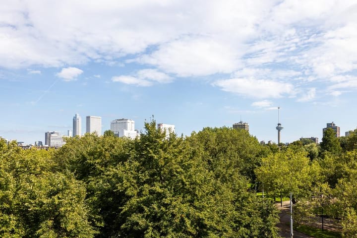 Photo 58 of Heemraadssingel 259