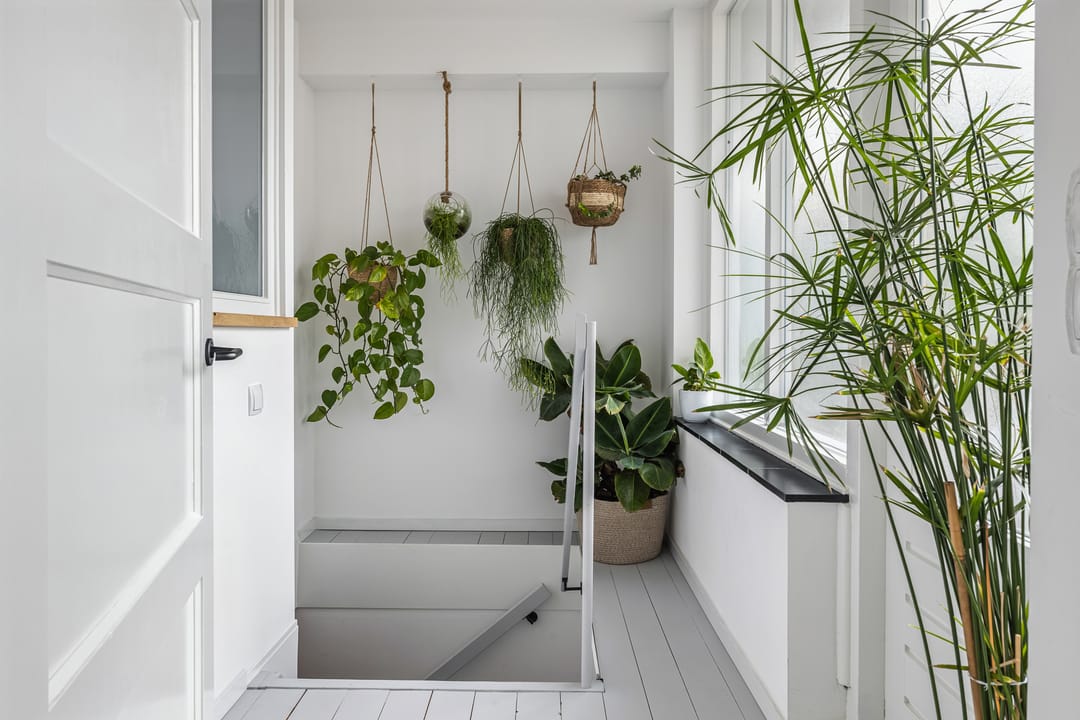 Foto 22 van Bothastraat 2