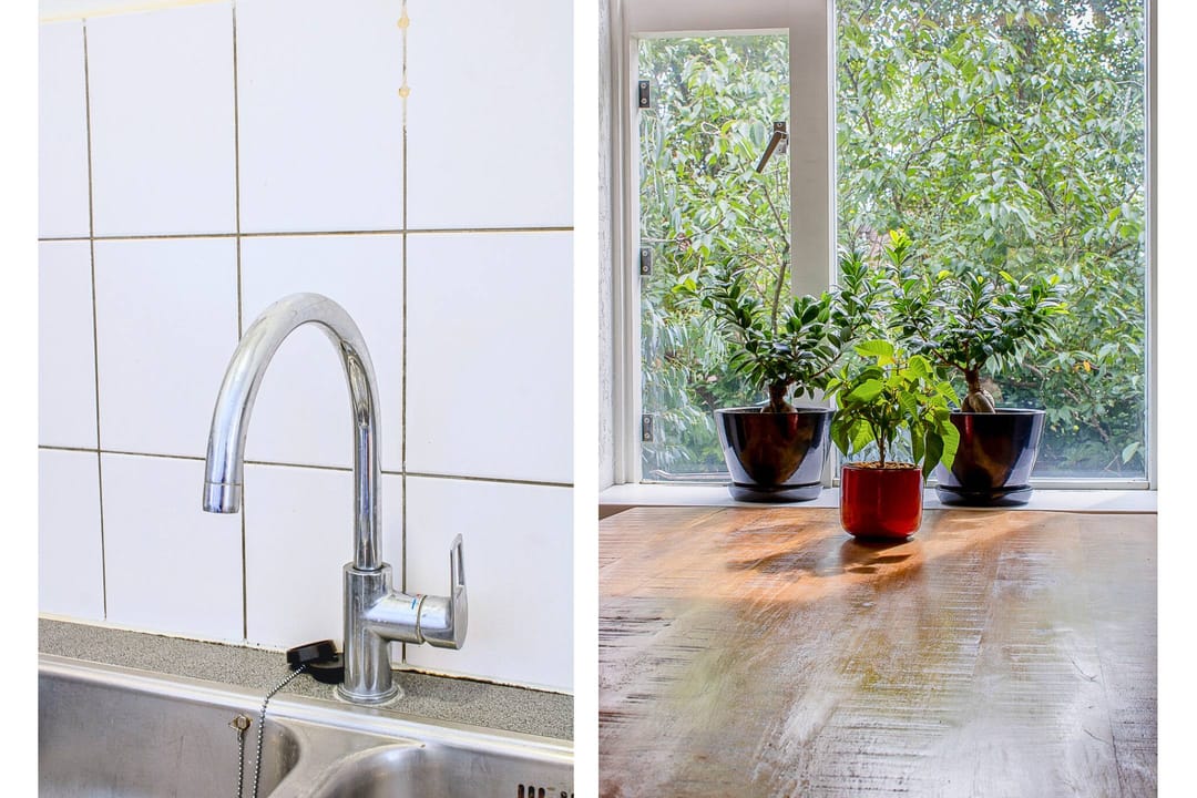 Photo 16 of Marsmanhove 116