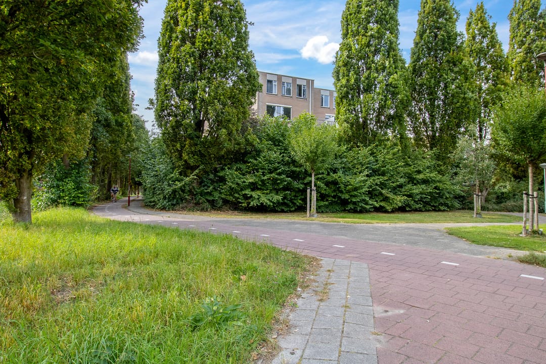 Photo 31 of Marsmanhove 116