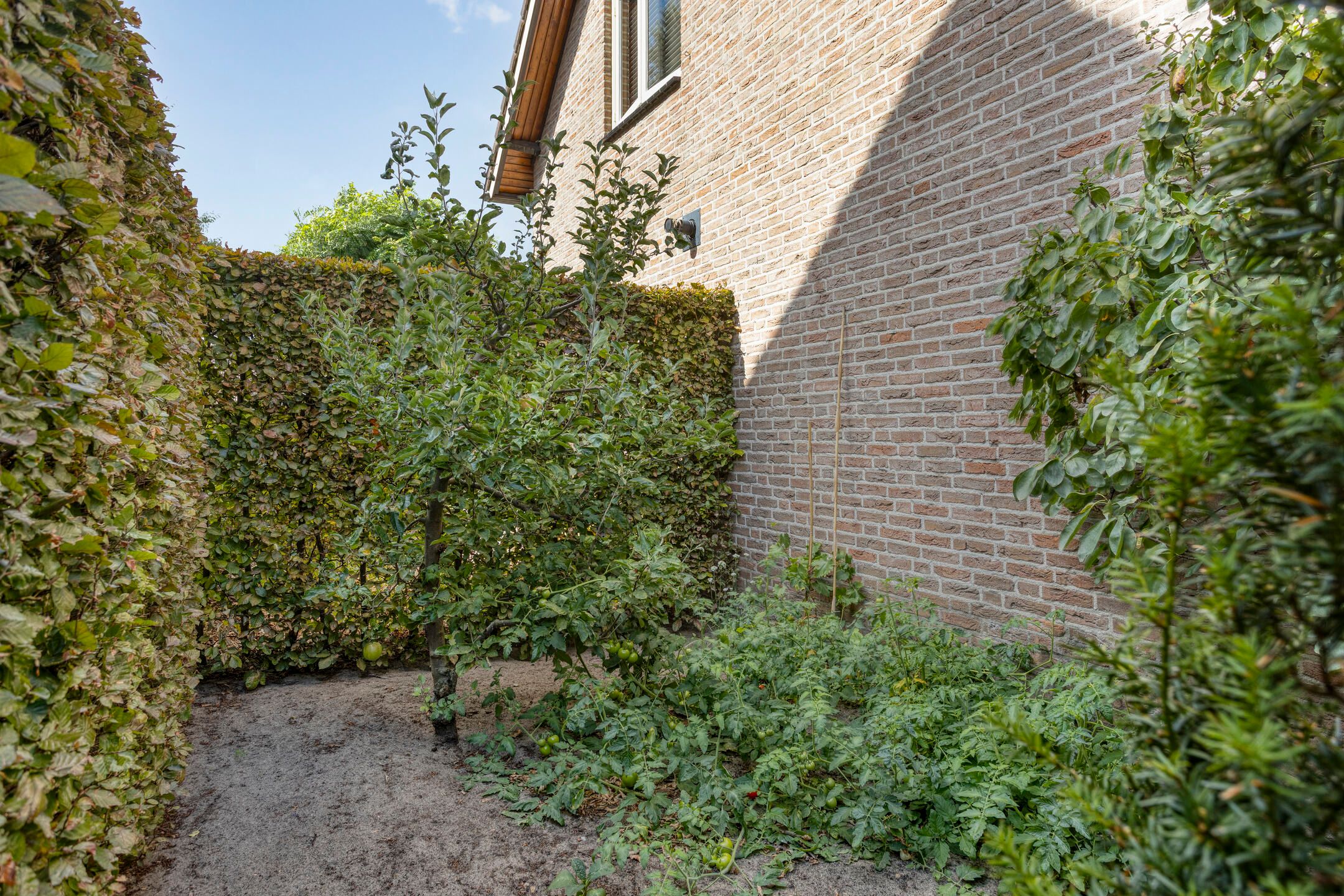 Foto 42 van Jan Dobbelsteenstraat 3