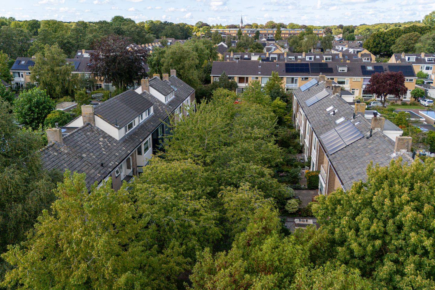 Photo 35 of Pauwweijdt 3