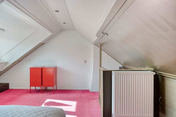 Foto 25 van Ranonkelstraat 28