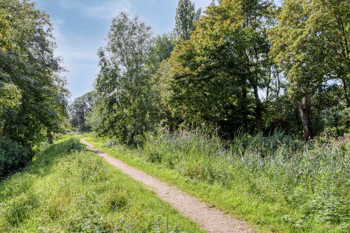 Foto 31 van Ranonkelstraat 28