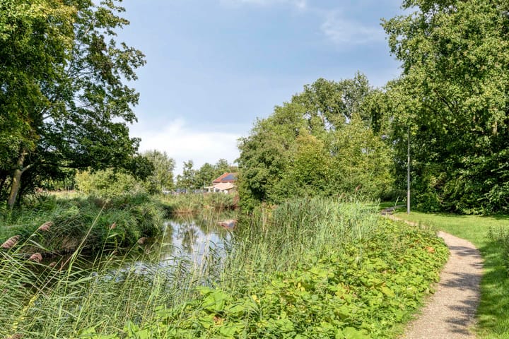 Foto 32 van Ranonkelstraat 28