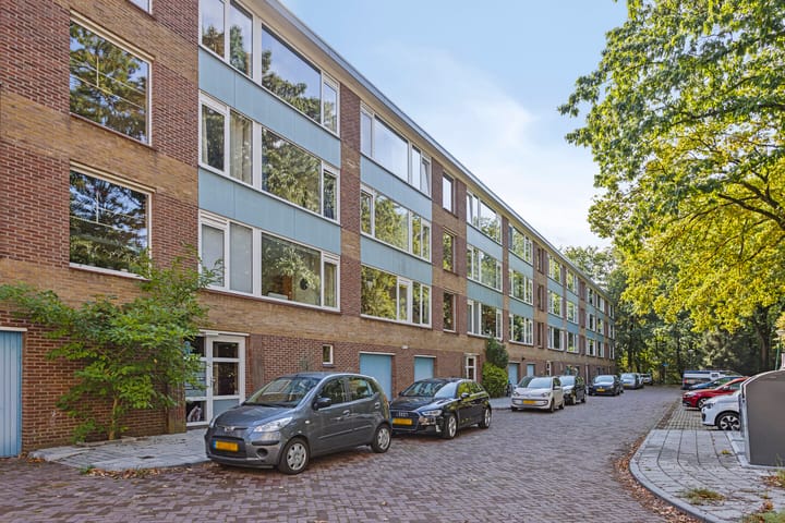 Foto 19 van Antonie van Leeuwenhoeklaan 207