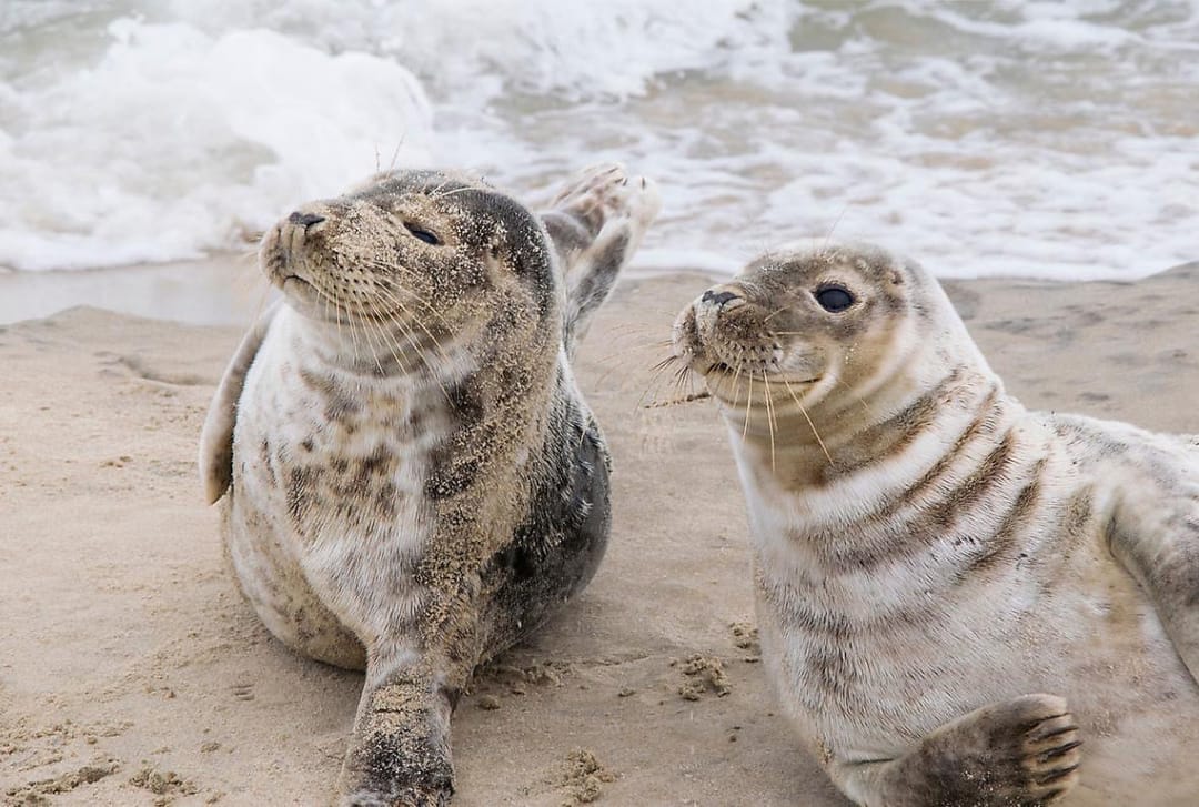 Foto 23 van Antoni Verburghwijk 70