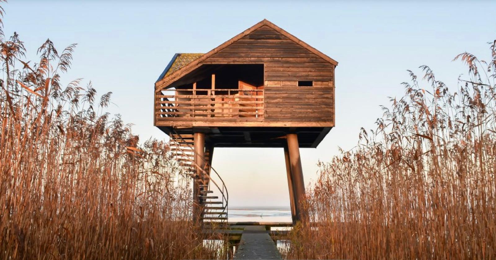 Foto 24 van Antoni Verburghwijk 70