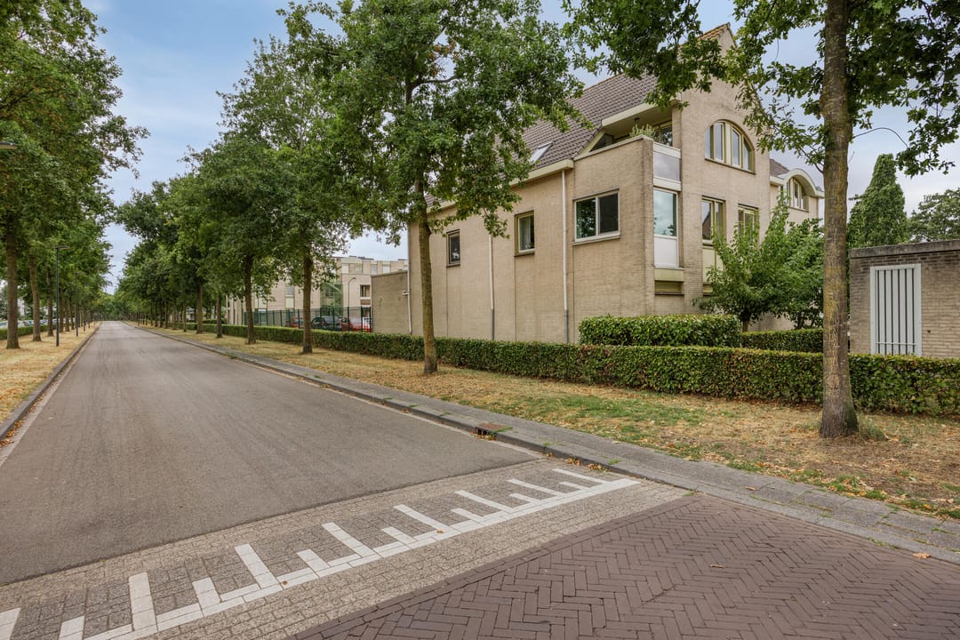 Foto 8 van Haenenburgh 17