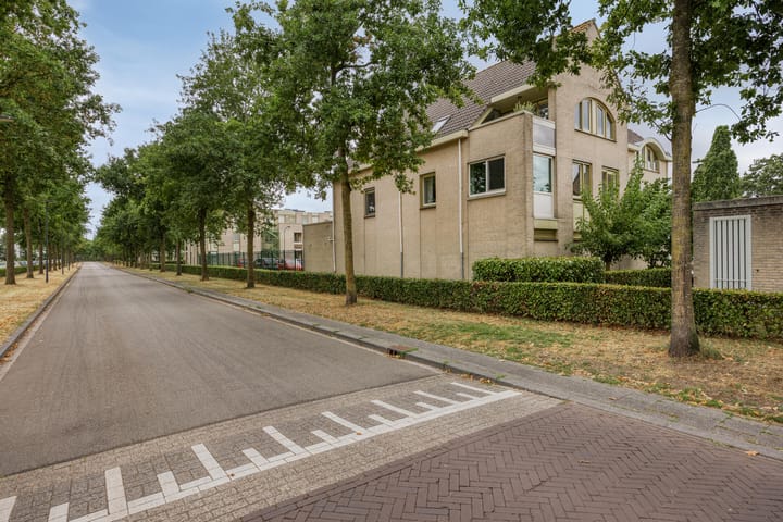 Foto 8 van Haenenburgh 17