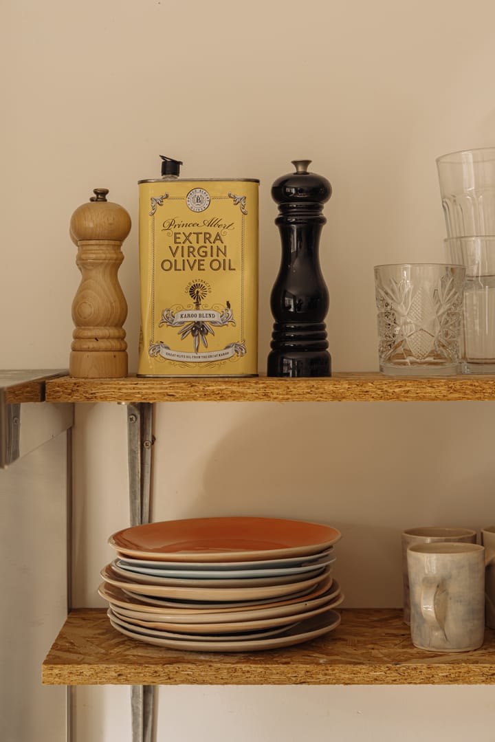 Foto 10 van Jan Maijenstraat 10-2