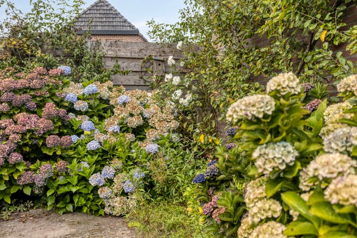 Foto 23 van de Haverkamp 32