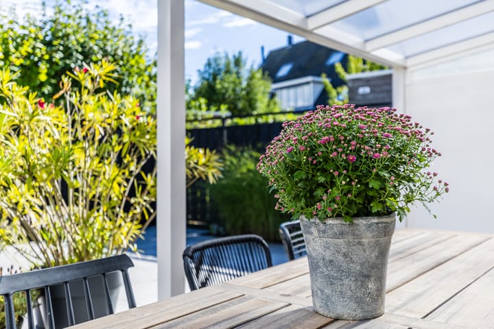 Foto 46 van Singelweide 126