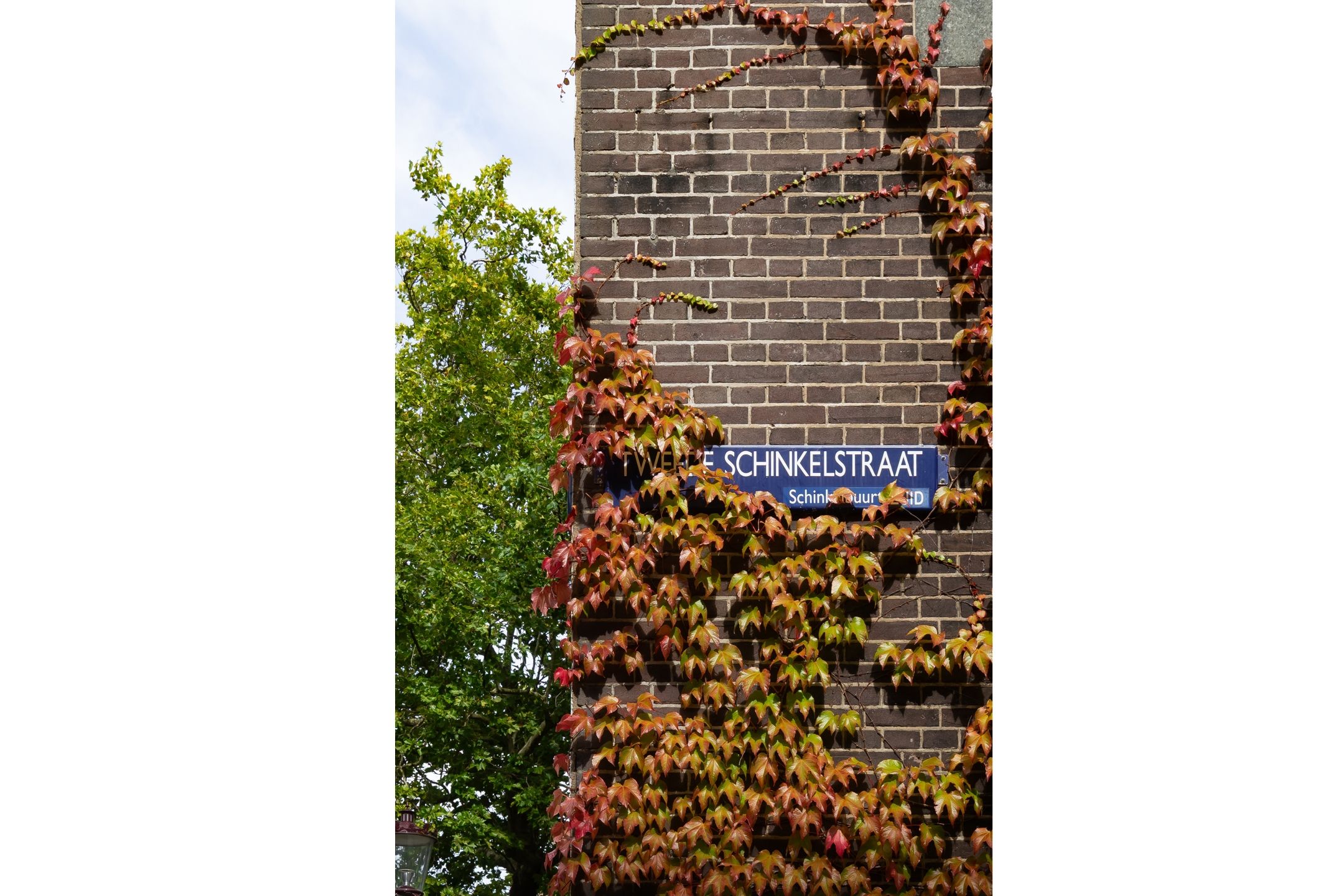 Foto 21 van Tweede Schinkelstraat 7-1