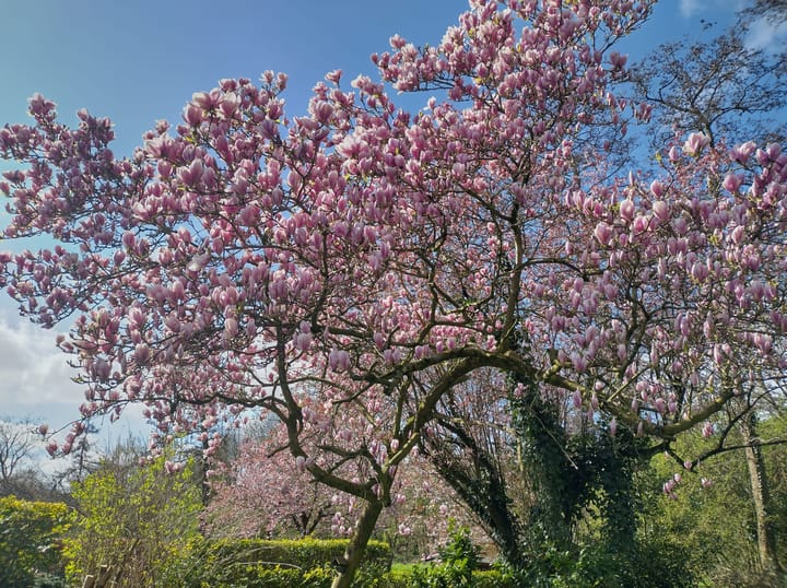 Photo 26 of Schimmelpennincklaan 19