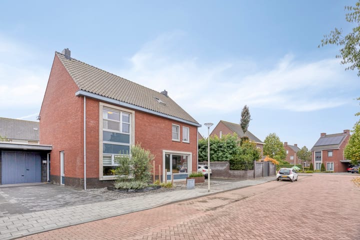 Foto 2 van Heideblauwtje 4