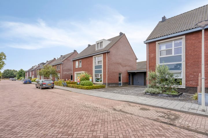 Foto 3 van Heideblauwtje 4