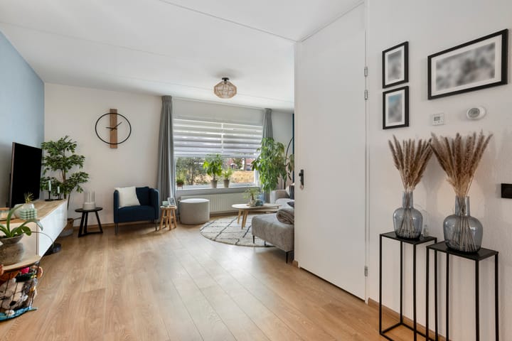 Foto 7 van Heideblauwtje 4