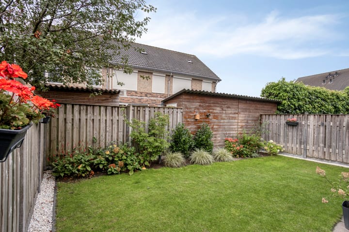 Foto 29 van Heideblauwtje 4