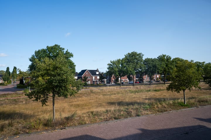 Foto 34 van Heideblauwtje 4