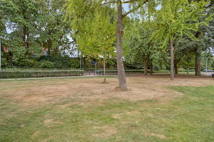 Foto 27 van Insulindeplein 5