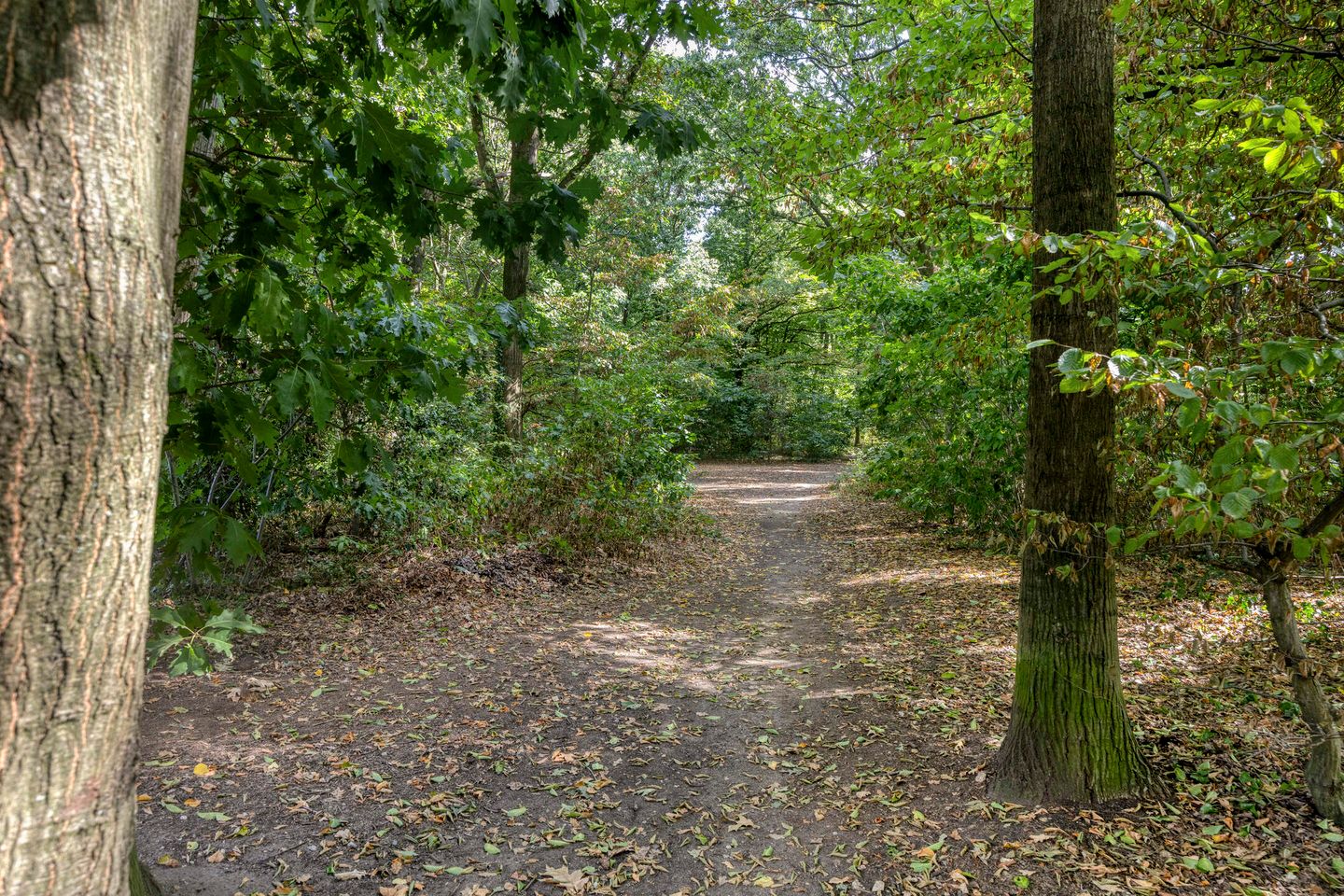 Foto 35 van Broerdijk 159