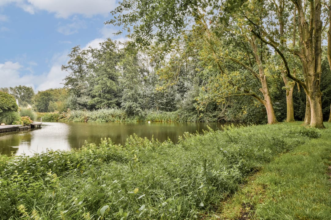 Foto 31 van Wiegerbruinlaan 69