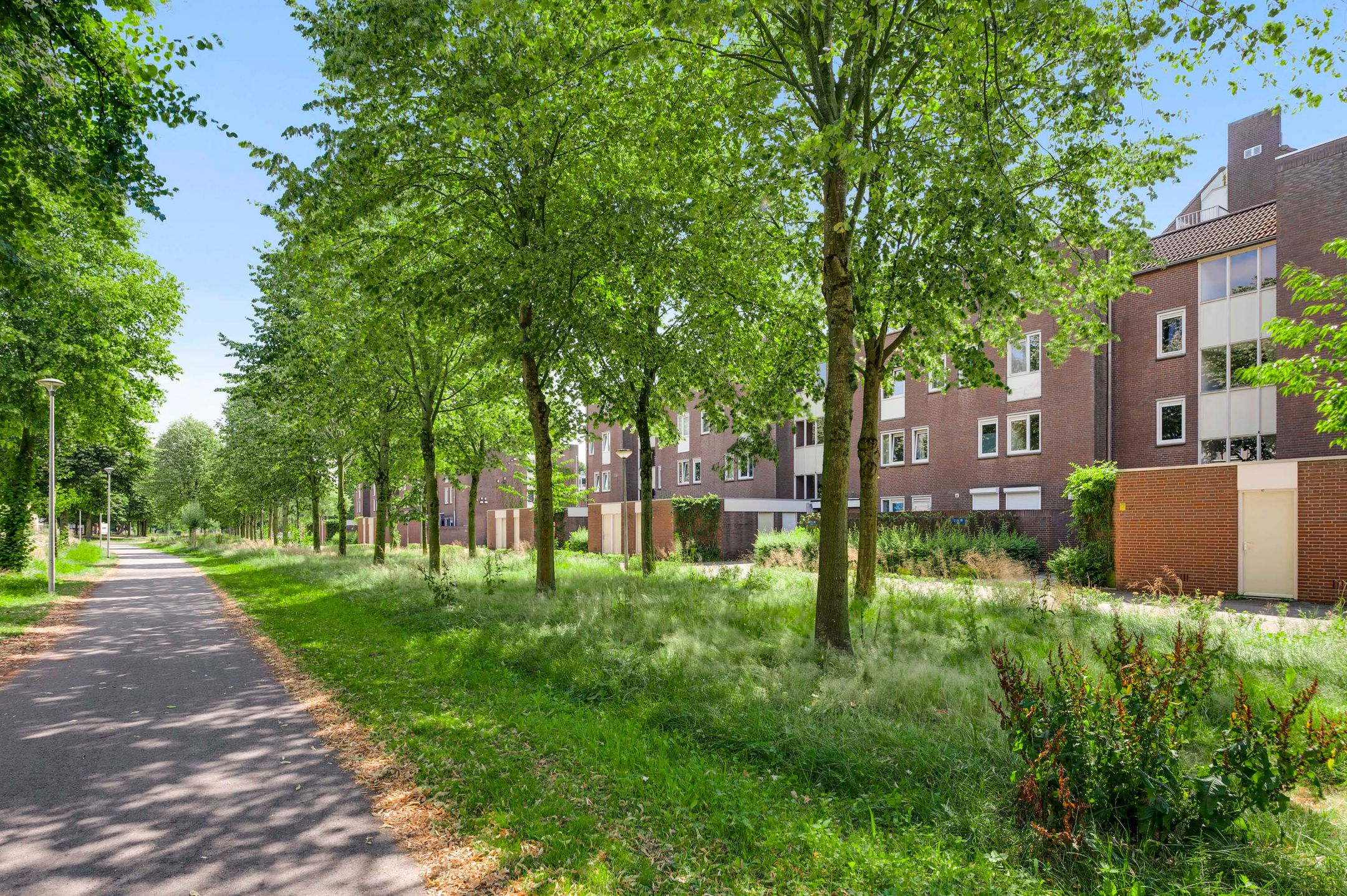 Foto 33 van Gruttolaan 8