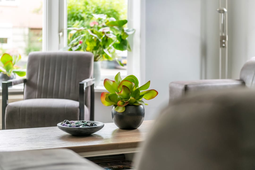 Foto 8 van Zonnedauw 175