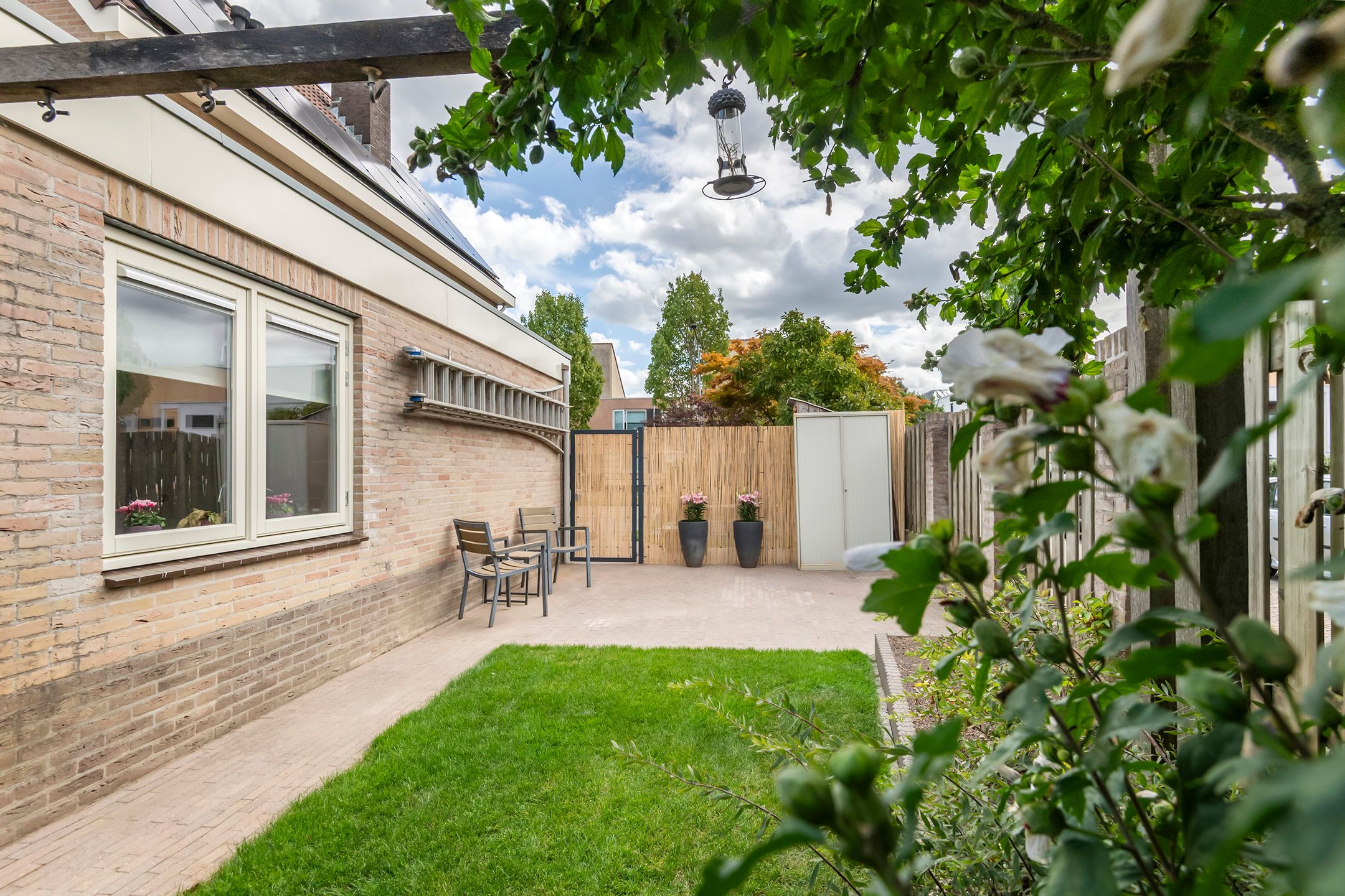 Foto 45 van Zonnedauw 175