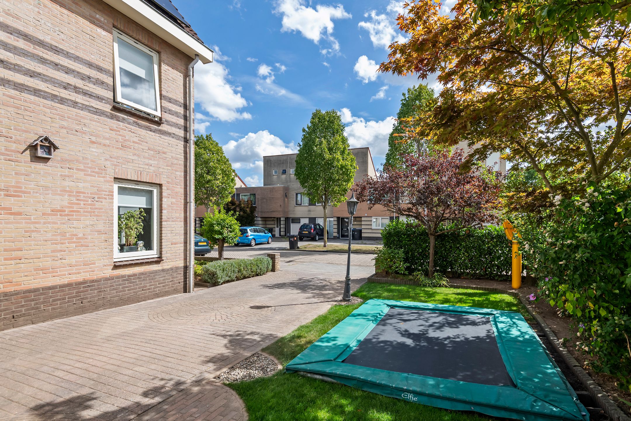 Foto 48 van Zonnedauw 175