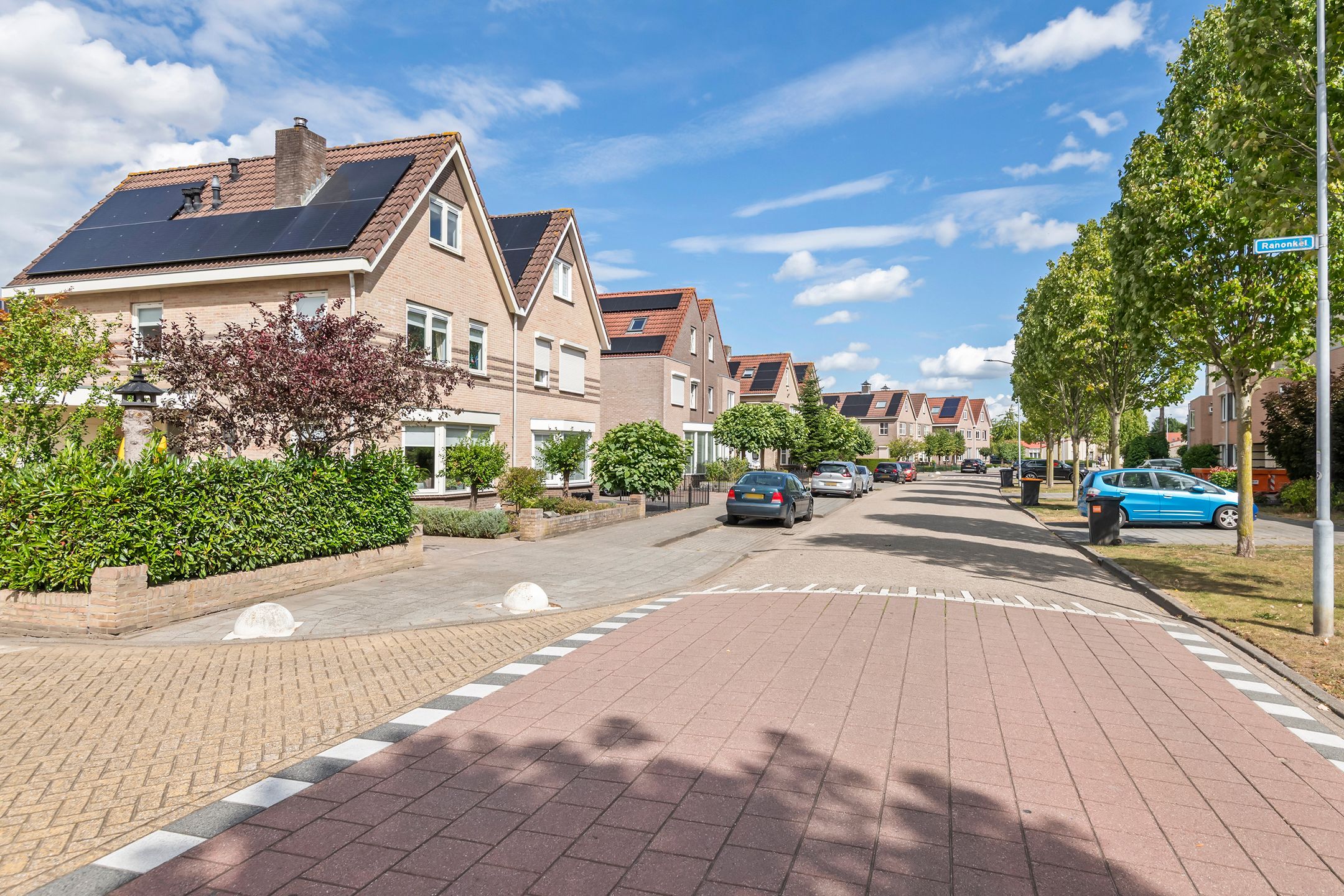 Foto 51 van Zonnedauw 175