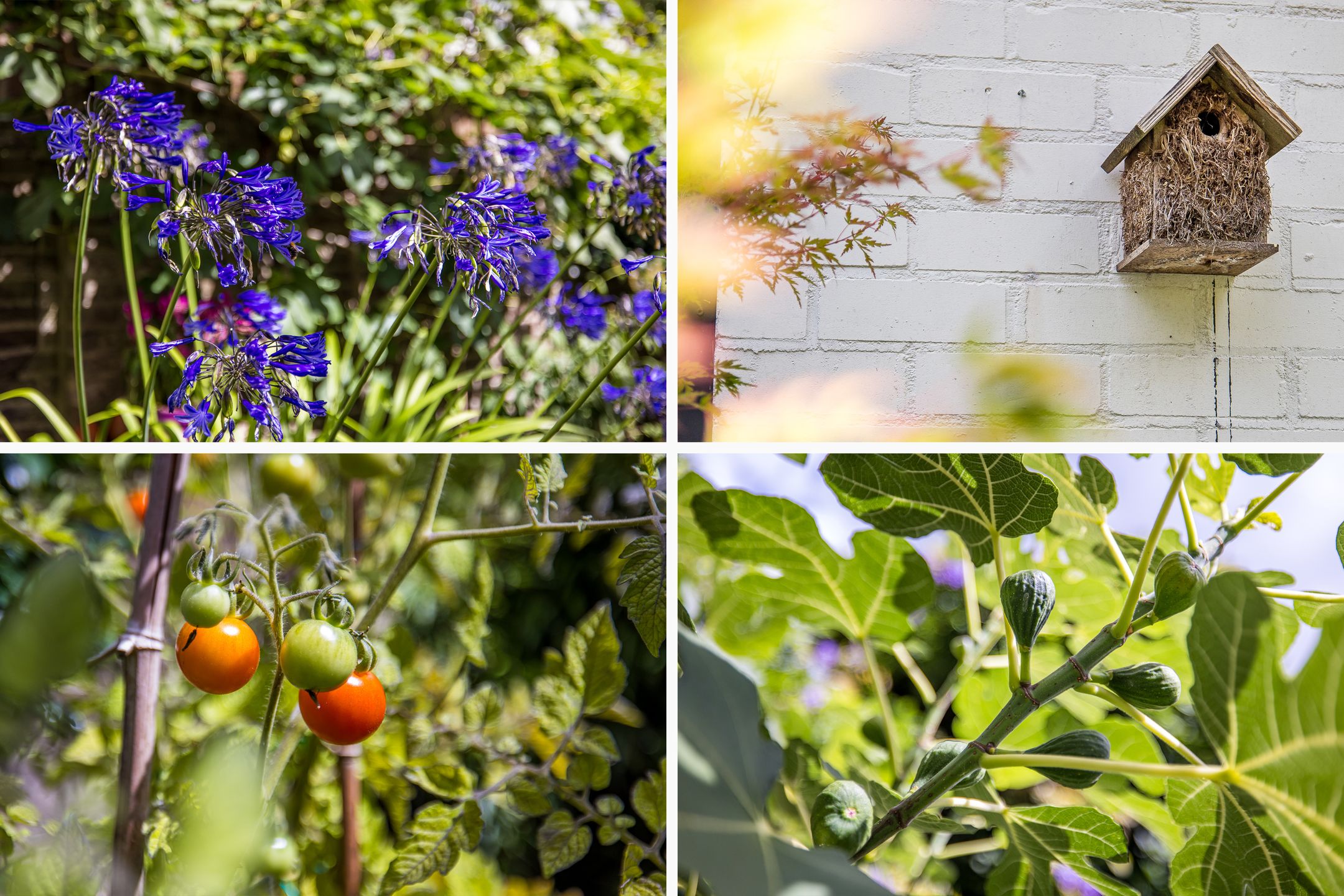 Foto 18 van Mgr. van de Weteringstraat 19