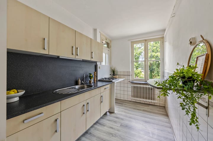 Foto 3 van Louis Regoutstraat 3