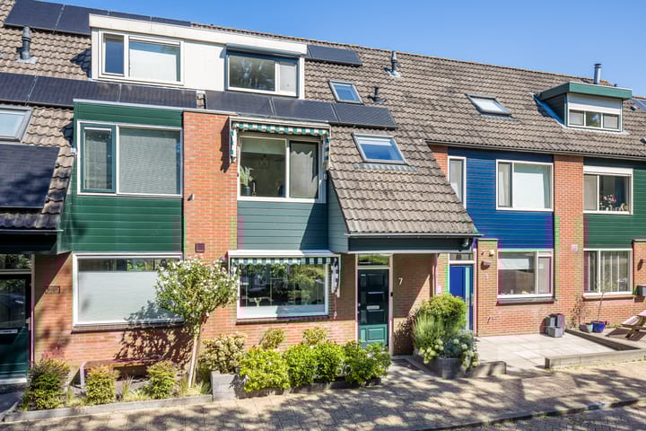 Foto 4 van Sneeuwgans 7