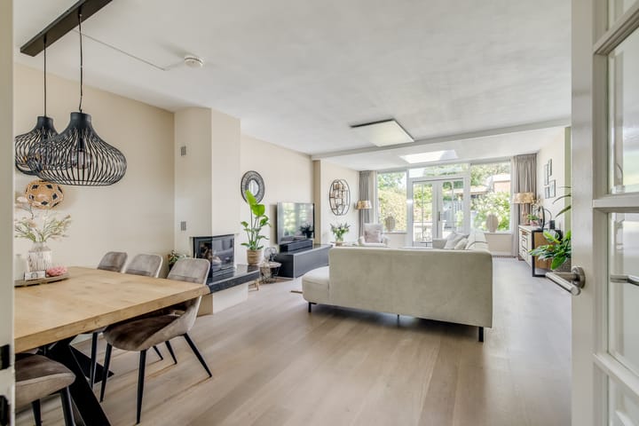 Foto 6 van Sneeuwgans 7